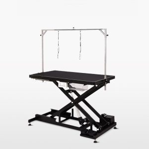 FORTAPURE AP-808P Electric Lift Pet Grooming Table for Large Dogs