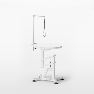 FORTAPURE AP-835 Pneumatic Lift Rotating Light-up Pet Grooming Table for Cats