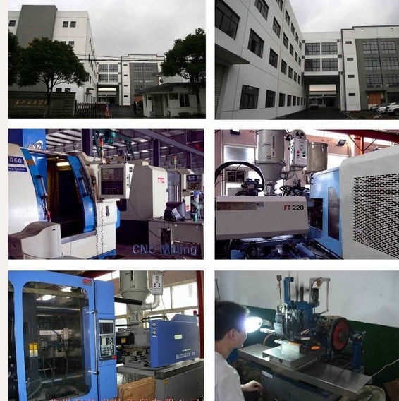 FORTAPURE M-016-SH Detalle del Producto