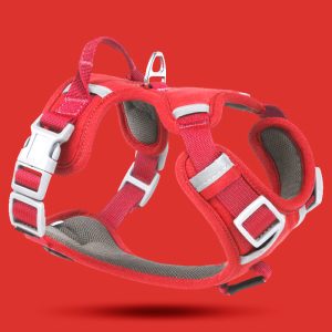 FORTAPURE BLT-H-0802 Customized Luxury Oxford Dog Vest Harness for Medium-Large Dogs (No-Pull, Adjustable)