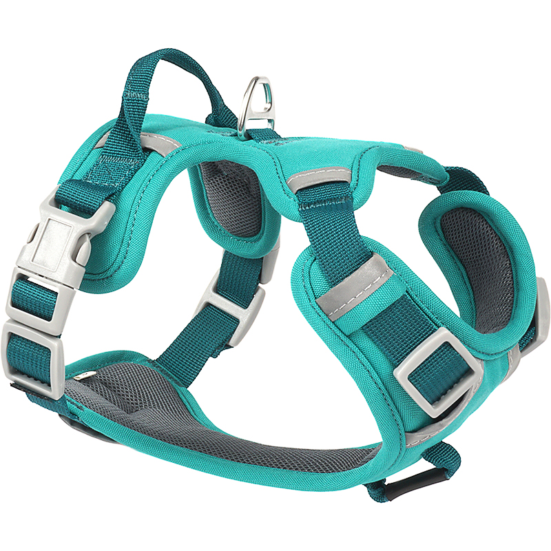 FORTAPURE BLT-H-0802 Product Image 5