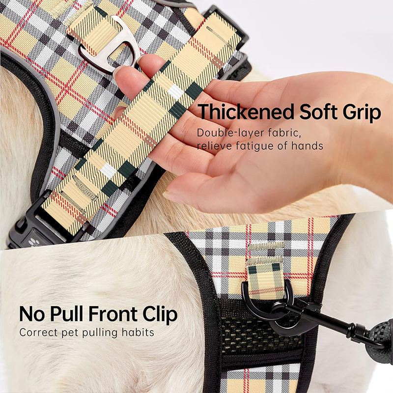 FORTAPURE BLT-H0912-1 Product Image 5