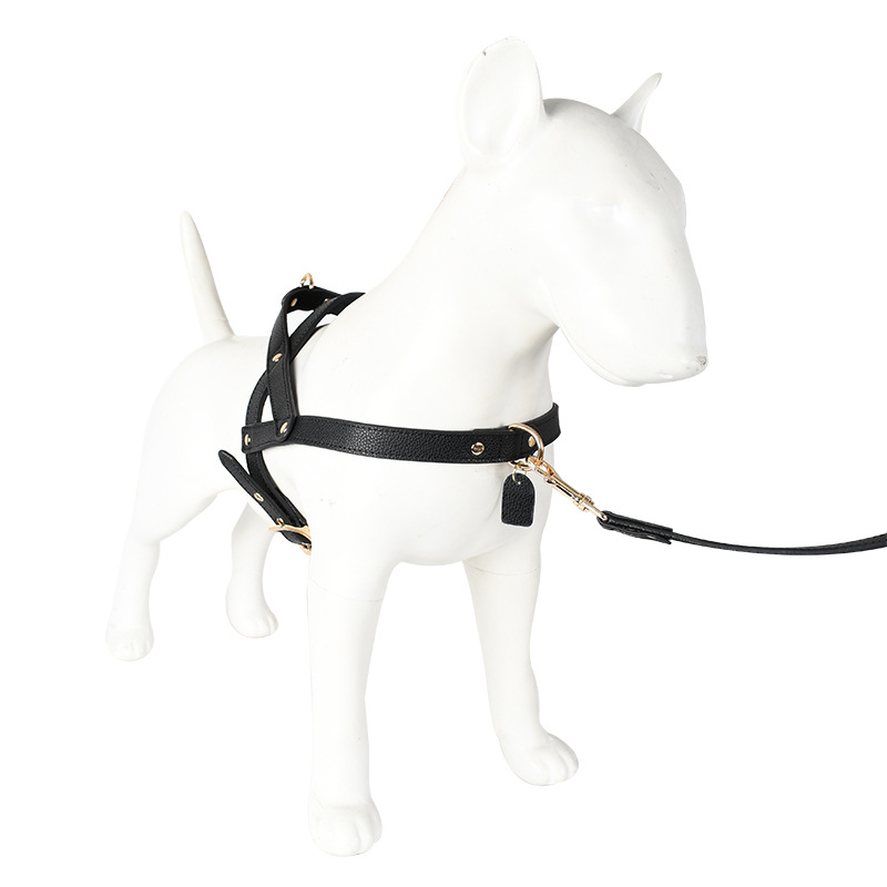 FORTAPURE BLT-H1025-1 Product Image 4