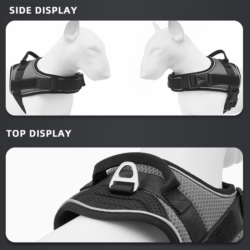 FORTAPURE BLT-H128 Product Image 3