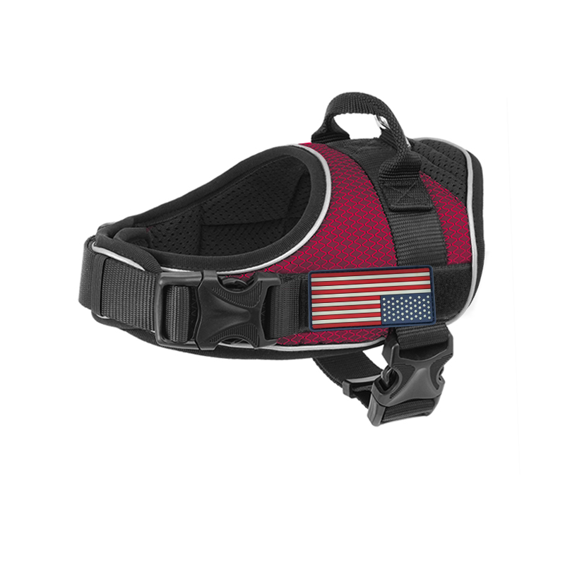FORTAPURE BLT-H128 Product Image 5