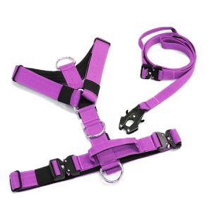 FORTAPURE KL-250623-1 Personalized Luxury Tactical Dog Harness Set with Leash (Neoprene, Outdoor Training)