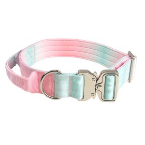 FORTAPURE KL-C20250217-C1 Nylon Gradient Neoprene Dog Collar with Metal Buckle (Soft Tactical Style)