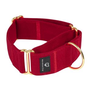 FORTAPURE KL-C20250227-C1 Heavy Duty Tactical Nylon Dog Training Collar with Metal Hardware (Wide Martingale)