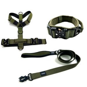 FORTAPURE KL-CHL20250416-1 Luxury Customizable Dog Harness Set with Metal Buckle (Nylon, Medium-Large)