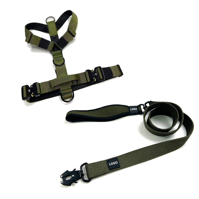 FORTAPURE KL-CHL20250416-1 Product Detail