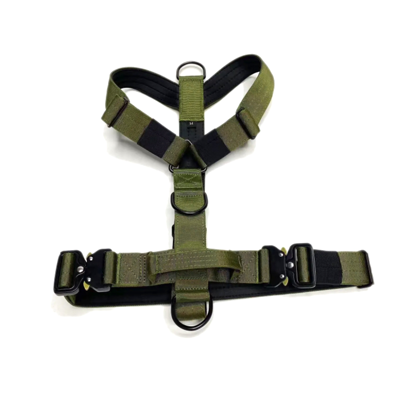 FORTAPURE KL-CHL20250416-1 Product Detail