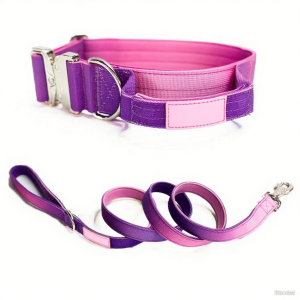 FORTAPURE KL-CL-C2571-4 OEM/ODM Customizable Solid Pattern Dog Collar (Soft Nylon & Neoprene Padded)
