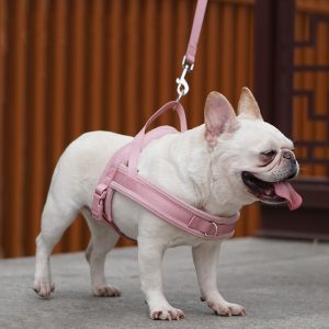 FORTAPURE KL-H2025025-A Macaron Corduroy Breathable Dog Harness with Leash (Customized Luxury Sport Style)