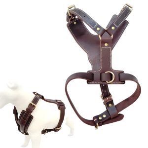 FORTAPURE KL-H20250308-1 Genuine Leather Luxury Dog Harness for Medium-Large Dogs (No-Pull, Sport Vest)