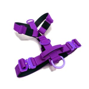 FORTAPURE KL-H20250325-2 High-End No-Pull Dog Harness with Leash and Chain Set (Nylon & Neoprene, Custom Luxury)