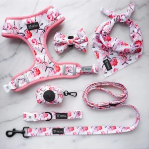 FORTAPURE KL-SET-INS6 Luxury Sport Fashion Dog Set (Padded Neoprene Harness, Collar, Scarf & Bib, OEM/ODM)