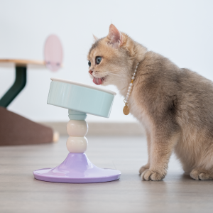 FORTAPURE T-025 Comedero Portátil Ajustable para Gatos (Ligero, Fácil de Limpiar, Uso en Interiores)